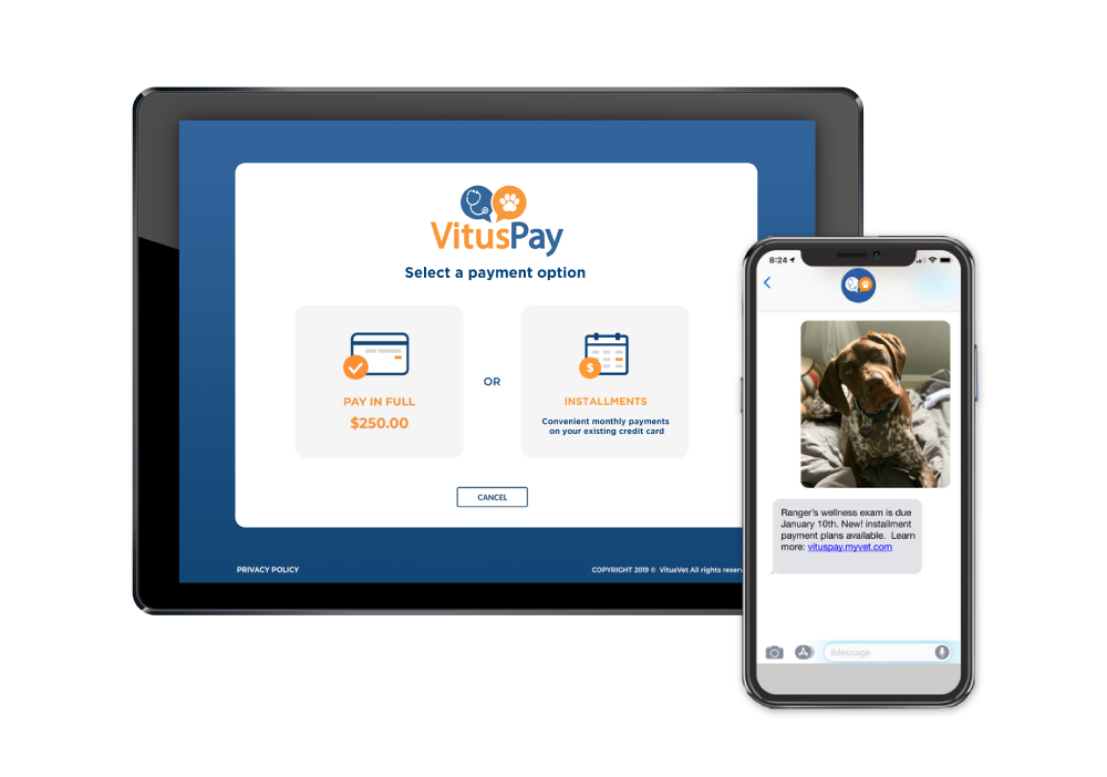 features-vituspay-header