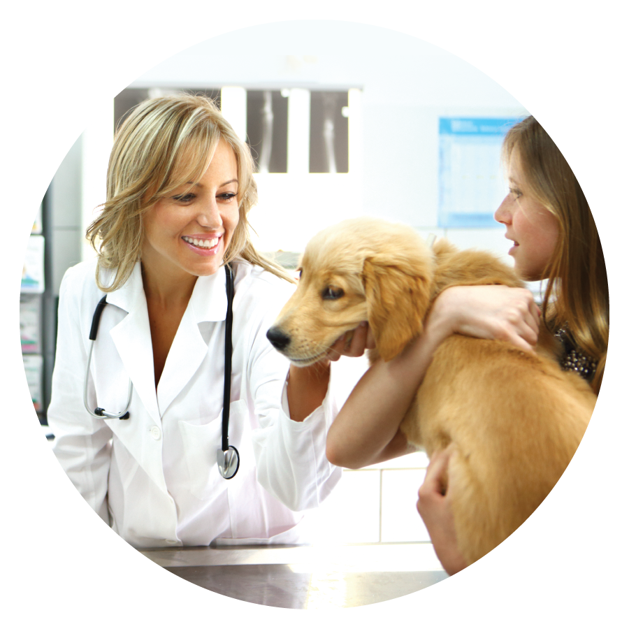 Veterinarian Payment Plans - VitusPay 