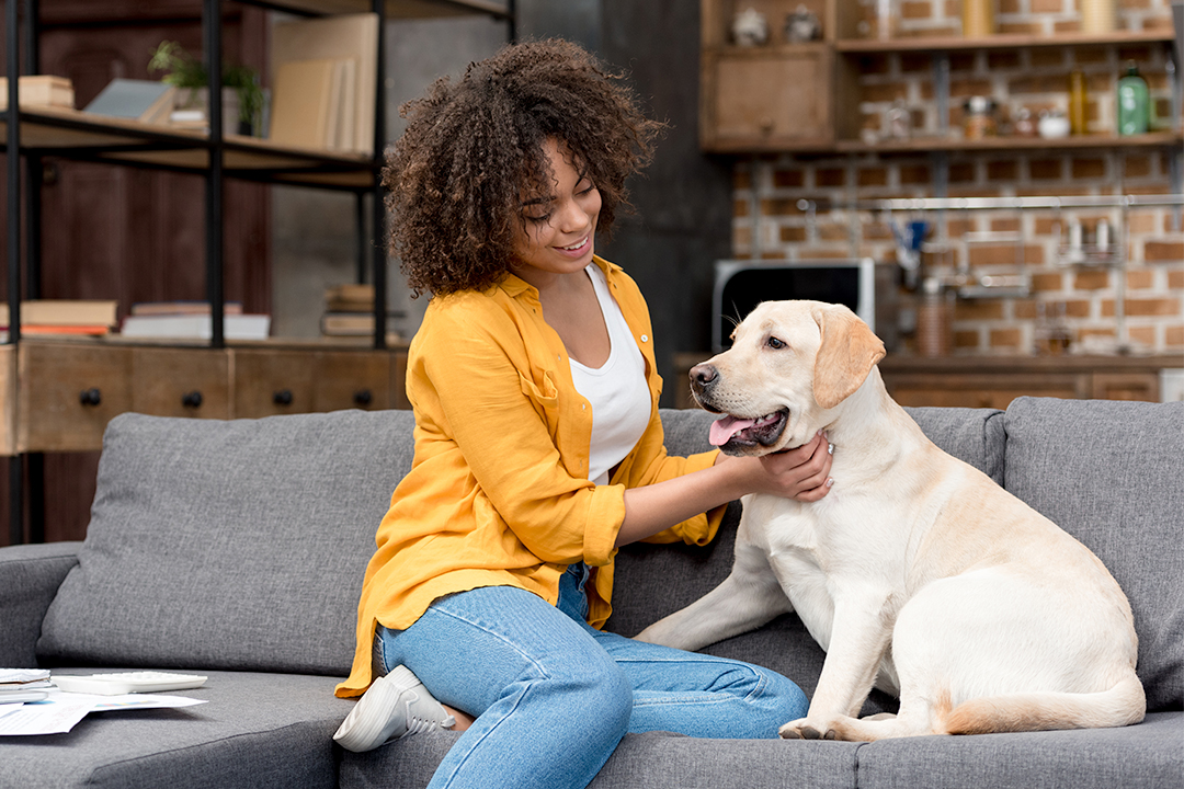 Pets and Covid VitusVet