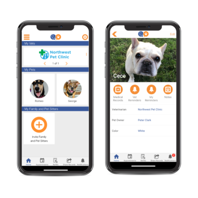 Veterinary Client Mobile App | VitusVet