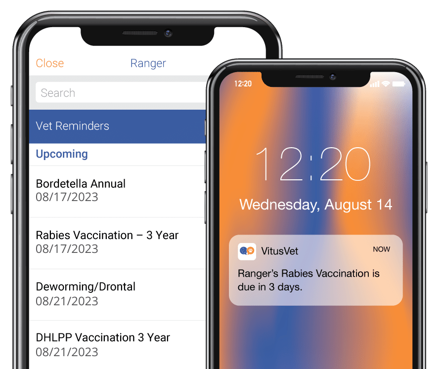 Iphones showing VitusVets veterinary reminder system and pet parent mobile app