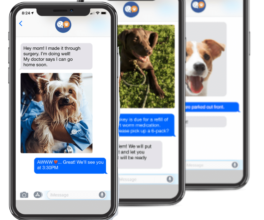 Images of VitusVets text and picture messaging solution helping veterinary practices communicate better