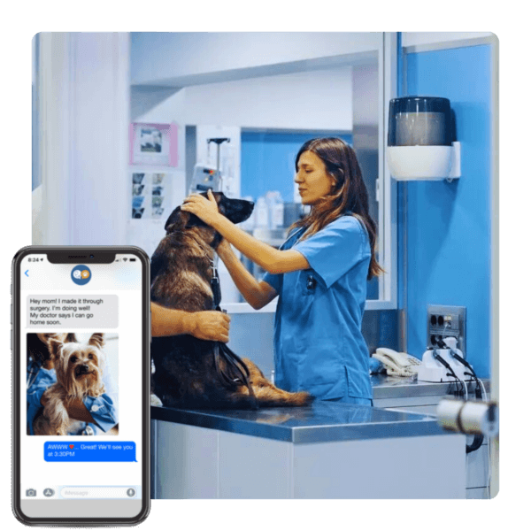 Veterinarians and clients both love texting with VitusVets 2way texting service